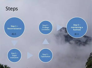 網(wǎng)絡(luò)安全實(shí)戰(zhàn) 從滲透測(cè)試到軟件開(kāi)發(fā)的全方位能力提升